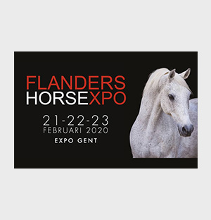 Programmatie & event marketing  Flanders Horse Expo