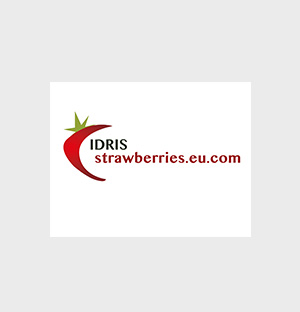 Idris - logo en huisstijl